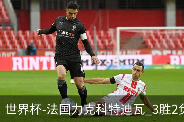 世界杯-法国力克科特迪瓦 3胜2负告别世界杯